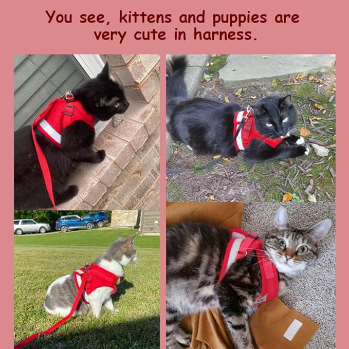 Cat Harnesses and Puppy Harness with Leashes Set, Escape Proof Cat Harness, Adjustable Reflective Soft Mesh Vest Fit Puppy Kitten Rabbit Ferrets's Outdoor Harness