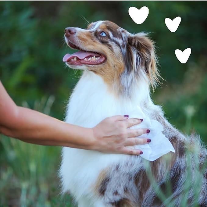 earthbath, Hypo-Allergenic Grooming Wipes - Fragrance Free Dog Wipes for Paws and Butt, Best Pet Wipes for Dogs with Sensitive Skin, Made in USA, Cruelty-Free Dog Cleaning Wipes - 100 Count (6 Pack)