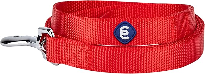 Blueberry Pet Essentials Rouge Red Dog Leash for Medium - 5' * 3/4" Dogs | Heavy Duty Nylon Lead | Lightweight Puppy & Cat Leash for Walking & Training