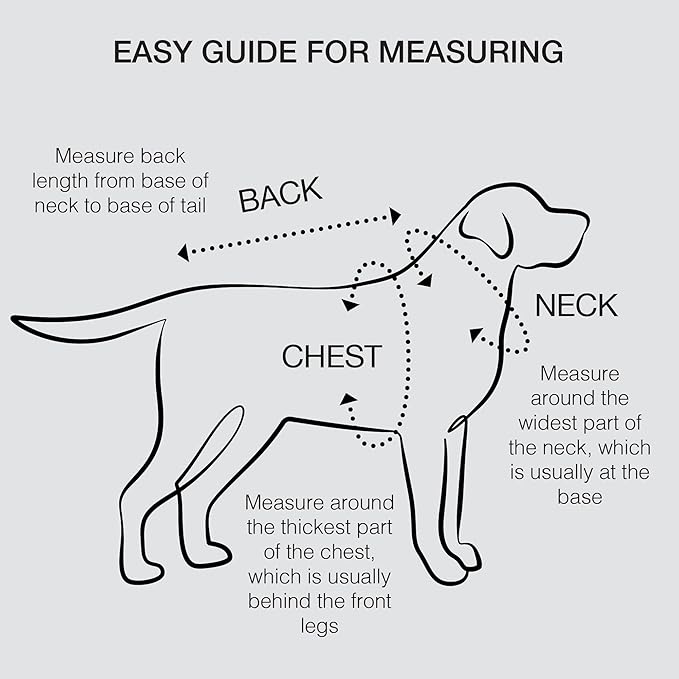 Rocky – The Orginal Lightweight Hooded TEE 100% Organic Cotton Dog Hoodie Pet Coat Sweater for Small, Medium, Large Dogs, Royal Stewart Plaid, Medium