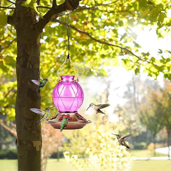 BOLITE Hummingbird Feeder, Glass Hummingbird Feeders for Outdoors Hanging, Five Feeding Ports, 20 Ounces, 2 Pack, Red and Purple, Birthday Gifts for Women Men, Gifts for Mom Dad