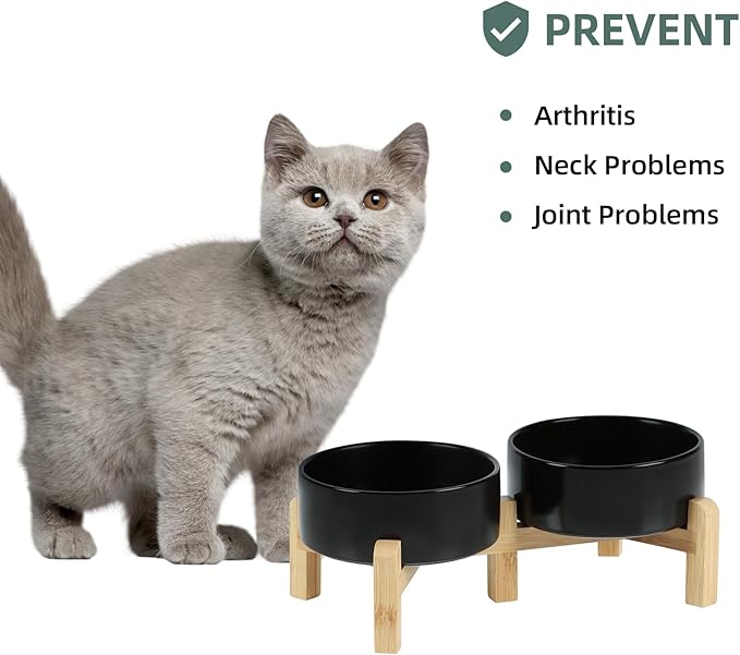 Ceramic Raised Double Bowls Set with Stand, 2 Heights Elevated, Food & Water Bowls for Small Breed Dogs, Cats, Kitty, Weighted Dog Dishes, Pet Bowls(5.1'',13.5oz, Black)