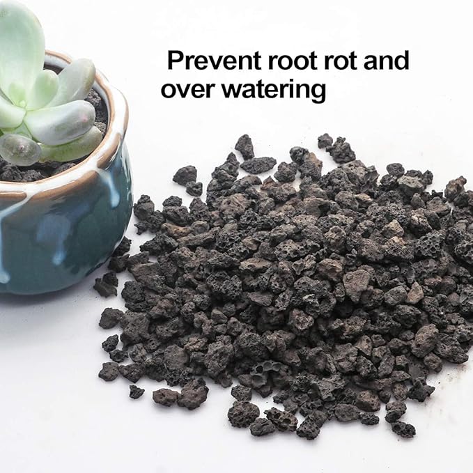 TOYPOPOR Black Horticultural Lava Rock Soil Additive for Cacti Succulents Plants No Dyes or Chemicals 100% Pure Volcanic Rock 2.2LB Top Dressing