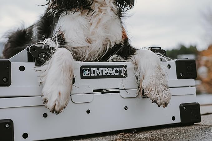 Impact Collapsible Dog Crate - Foldable Hard Crate for Medium Dogs - Heavy Duty Travel Kennel with Powder-Coated Aluminum - Quick Setup for Indoor & Outdoor (Gray, 30" (30.5" L x 20.5" W x 26" H))