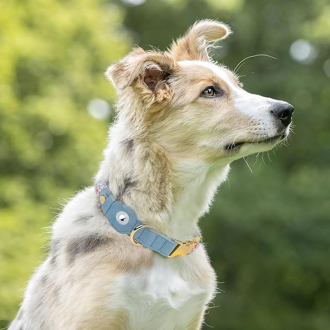 AirTag Dog Collar for Small Medium Large Breed - Adjustable Cute Pattern Dog Collar with Airtag Holder - Soft Leather Tracker GPS Apple Air Tag Pet Collars (X-Large, 20"-25" Neck Fit, Floral)