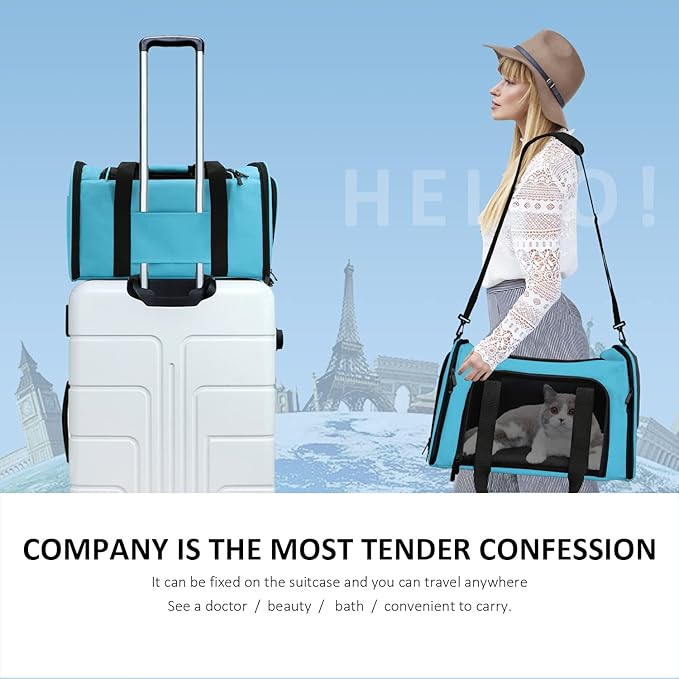 Pet Carrier for Small Medium Cats Puppies up to 15 Lbs, Airline Approved Small Dog Travel Puppy Carrier Soft Sided, Collapsible - Blue