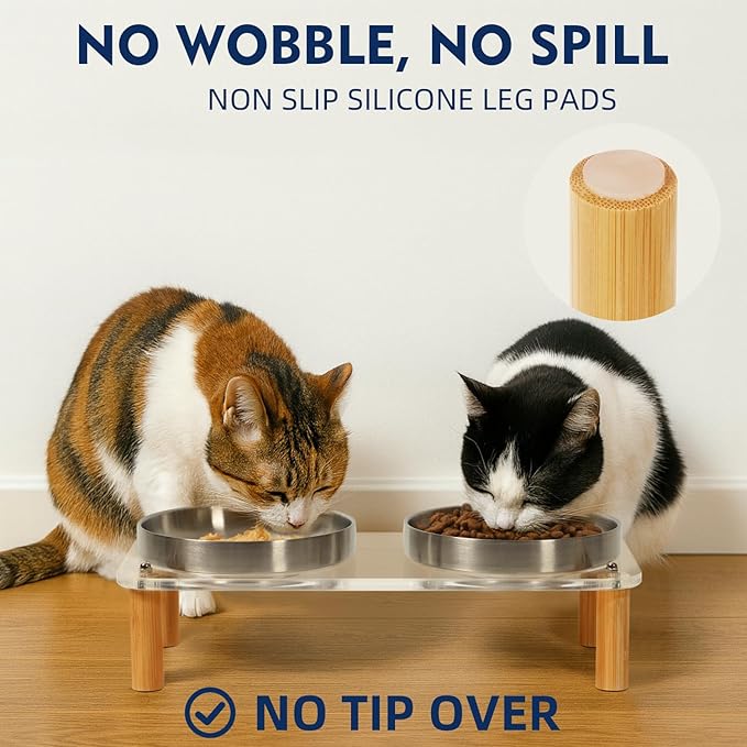 Elevated Cat Bowls for Indoor Cats – Clear Acrylic Cat Food Table with 2 Stainless Steel Dishes, Adjustable Height (4.05"/2.87"), Raised Feeding Station for Easy Digestion