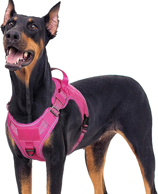 rabbitgoo Dog Harness for Large Dogs No Pull, Tactical Service Pet Vest with Molle and Control Handle, Adjustable and Reflective Military Harness for Easy Walking and Training, Rose Red, XL