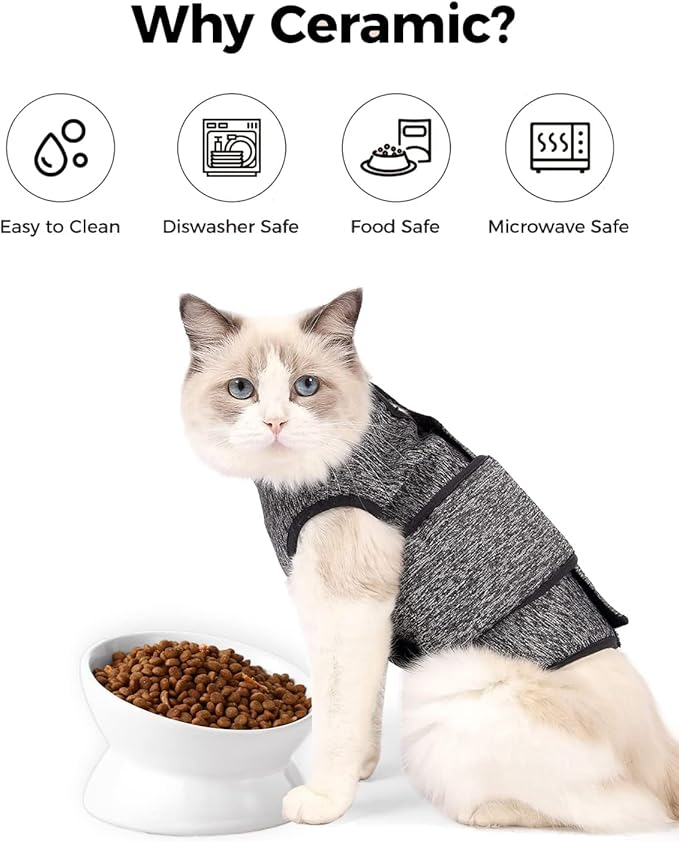 LoeJan Elevated Cat Food Bowl, 5 Oz Ceramic Raised and Tilted Water Bowl, Anti Vomiting and Protect Pets' Spines Dishes for Small Dog, Fat Faced Cat, Kitten (White, 4 Pack)