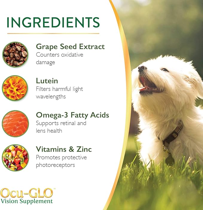 Ocu-GLO Vision Supplement for Small Dogs by Animal Necessity with Lutein, Omega-3 Fatty Acids, Grape Seed Extract and Antioxidants to Promote Eye Health in Dogs, 45ct Liquid Gelcaps