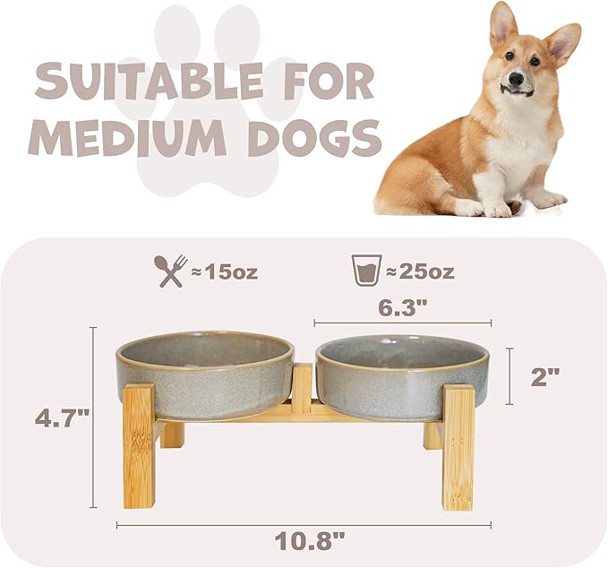 Elevated Slow Feeder Ceramic Dog Bowls Set for Meduim Size, Raised 2.7" Height, Cute Paw Slow Feeding Food Bowl and Water Bowl with Stand for Medium Breed, Size 6.3" Dx2 H, Non Slip, Grey