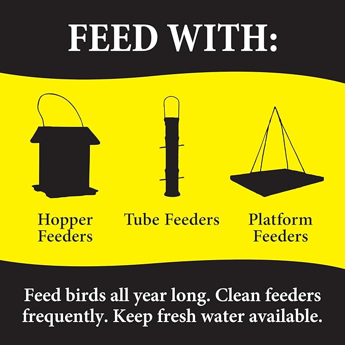 Wild Delight Advanced Formula Bugs N Berries Wild Bird Food 14 lbs