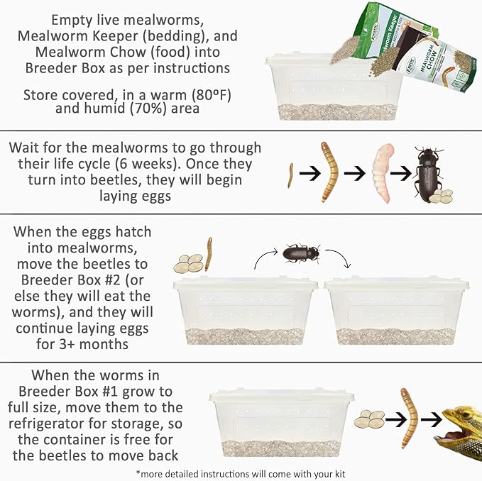 Mealworm Breeder Kit (Expanded) - Breed Live Feeder Worms for Hedgehogs, Sugar Gliders, Reptiles, Wild Birds, Chickens, Lizards, Bearded Dragon, Skunks, Opossum, Fish, Turtles, Tortoises, Geckos