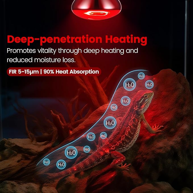 2-Pack 100W Infrared Heat Lamp - Reptile Heat Emitter, Red Heat Bulb for Chicked, Snake & Leopard Gecko, E26 Base
