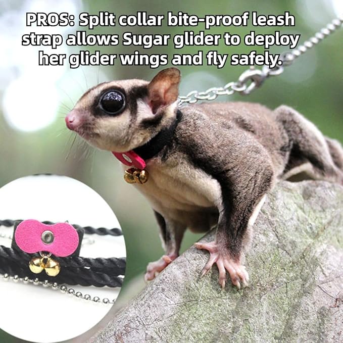 Sugar Glider Traction Rope Strap Anti-Biting Chain Rope, Small Animal Walking Collar Harness with Lead Leash for Hamster Gerbil Rat Mouse Ferret Chinchilla Squirrel (Black with Purple)