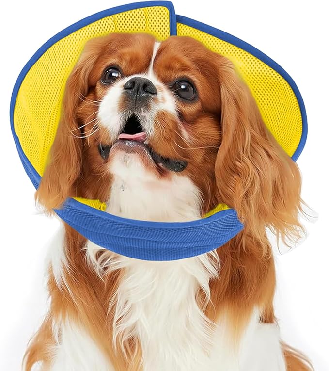 Inspack Soft Dog Cone Collar Alternative, E Cones for Small Dogs/Cat/Puppy to Stop Licking after Surgery, Comfortable All Paws Comfy Elizabethan Collars, Neuter Recovery Ecollars of Shame Alternatives
