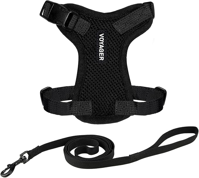 Voyager Step-in Lock Adjustable Cat Harness w. Cat Leash Combo Set with Neoprene Handle 5ft - Supports Small, Medium and Large Breed Cats by Best Pet Supplies - Black, XXS