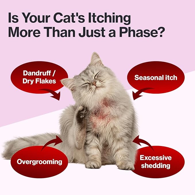 Doctor By Cat Silk Derma Lickable Feline Skin and Coat Supplement - Dandruff Treatment & Itchy Skin Relief Allergy Support for a Glossy Coat Immune Boosting Formula - 30 Individual Treat Tubes