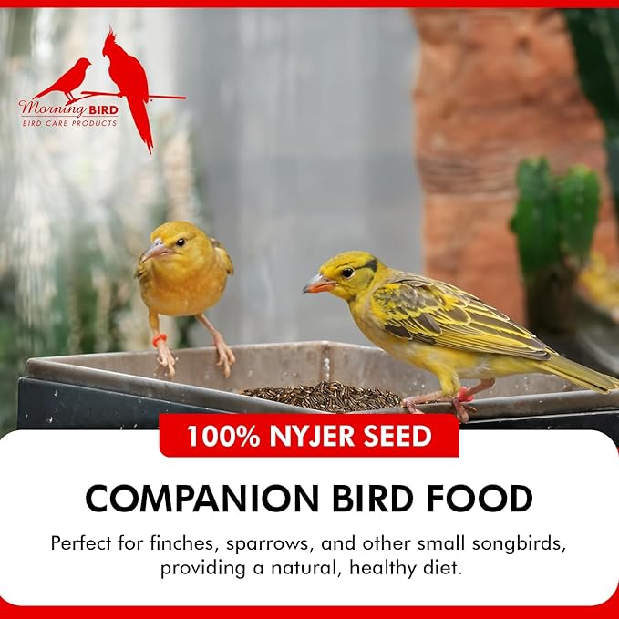 Morning Bird Nyjer Seed for Birds 18 lbs (2-Pack, 9 lbs Each)– Energizing Nutrition with Rich in Vitamins and Supplements – Ideal Bird Food for Breeding & Molting – Finch Seed for All Birds