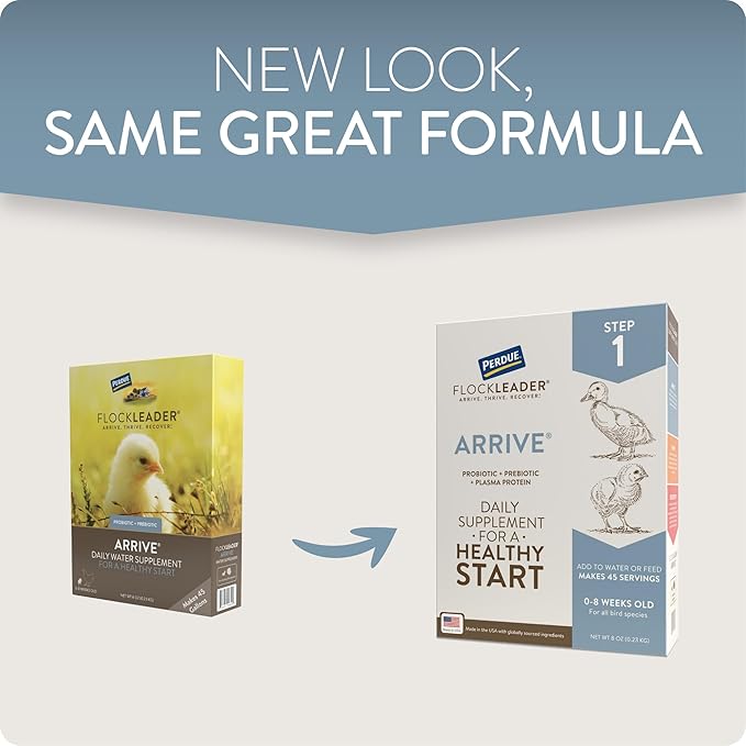 Arrive, Daily Probiotic & Prebiotic Poultry Supplement for Young Chickens 0-8 Weeks Old, 8 oz