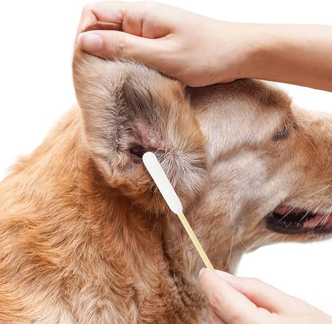Dog Ear Cleaner Q Tips, 200pcs 6-Inch Long Cotton Swabs for Dogs - Biodegradable Qtips for Ear Cleaning, Infection Treatment, Wax Removal & Pet Care