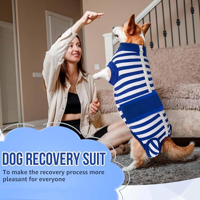 Lukovee Recovery Suit for Dogs - Zipper On Onesie for Female & Male Dogs, Abdominal Wounds Cone E-Collar Alternative, Prevent Licking - Spay Recovery Suit (X-Large, Blue & White)