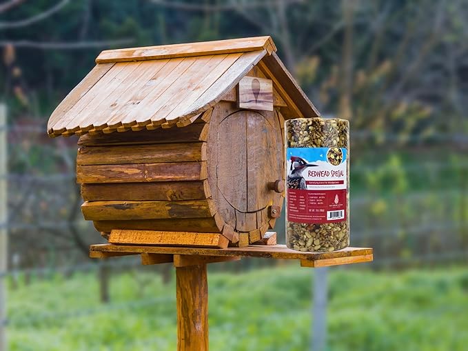 Birdseed Cylinders with Hole - Bird Seed for Outside Wild Birds (Small Cylinder, Redhead Special 4pc)