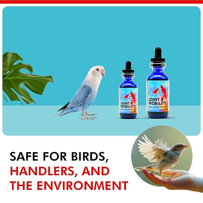 Morning Bird Joint & Mobility 1 fl oz – Muscle Pain Relief Supplement for Joint Health, Stop Pain & Arthritis Supplements – Herbal Liquid Formula for Aging, Injured, or Stressed for All Bird Types
