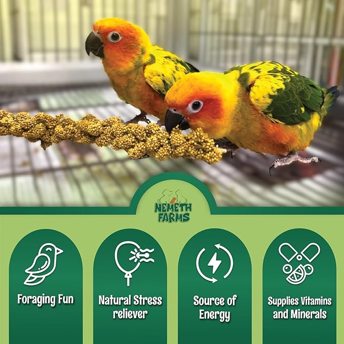 Nemeth Farms Worlds Freshest GMO-Free, Sun Dried Spray Millet No Stems Only Edible - Tops-Original Bird Treat and Supplement for Pet Birds Parakeets, Cockatiels, Lovebirds and Finches - 5lbs