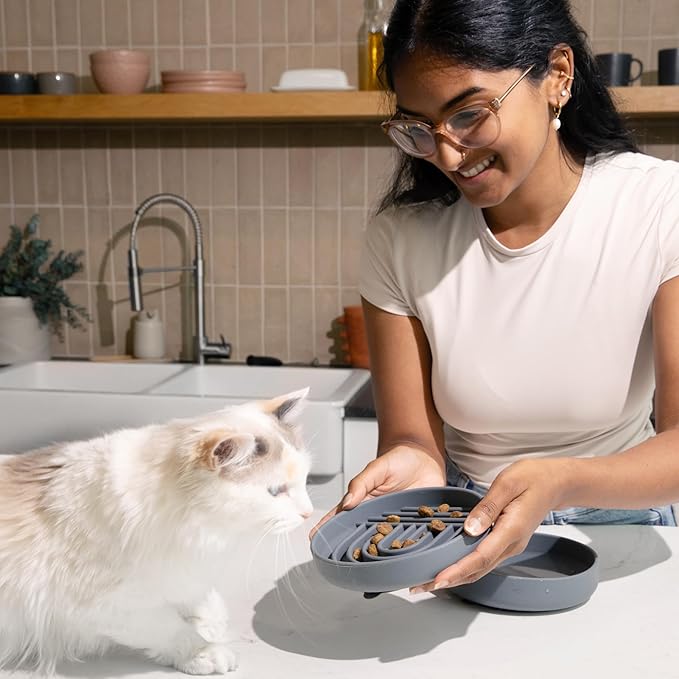 The Slowdown Bowl Silicone Slow Feeder for Cats & Kittens, Slow Eating Mealtime Solution with Modern Lick Mat Design, Reduces Gulping, Fits 1 Cup 6” Across x 1.25” Tall, Small-Tan