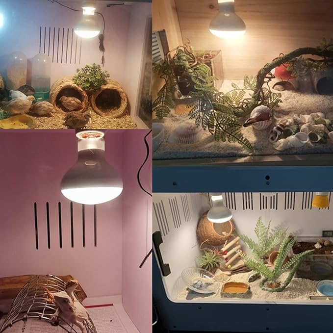 Aiicioo Reptile Basking Light Bulb - 100W Reptile Heat Lamp 2 Pack UVA Daylight Amphibians Basking Bulb for Bearded Dragon Turtle Hermit Crab Gecko Lizard Daylight