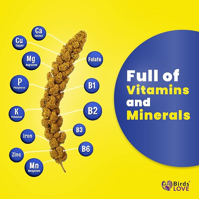 Birds LOVE Economy & Thin Special Spray Millet GMO-Free (No Stems Only Edible Tops) for Birds Cockatiel Lovebird Parakeet Finch Canary All Parrots Healthy Treat - 25lbs