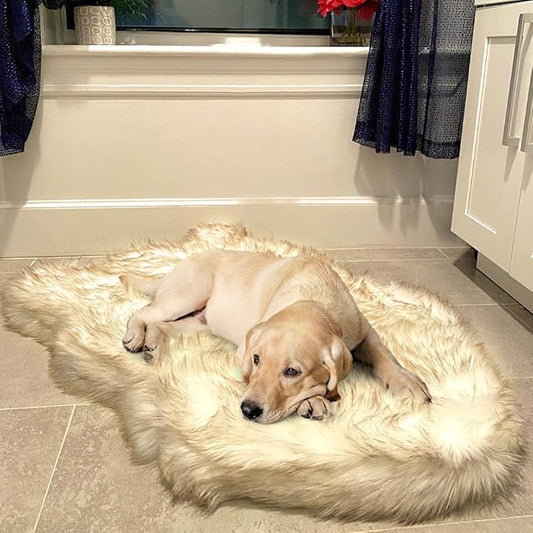 IHAPPYDOG Luxury Faux Fur Orthopedic Dog Bed, Memory Foam Dog Bed for Small, Medium, Large and XL Pets, Fluffy Pet Rug with Waterproof and Washable Cover (White w/Brown Tips, 40"x25")
