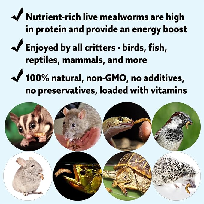 Mealworm Breeder Kit (Basic) - Breed Live Feeder Worms for Hedgehogs, Sugar Gliders, Reptiles, Wild Birds, Chickens, Lizards, Bearded Dragon, Skunks, Opossum, Fish, Turtles, Tortoises, Geckos