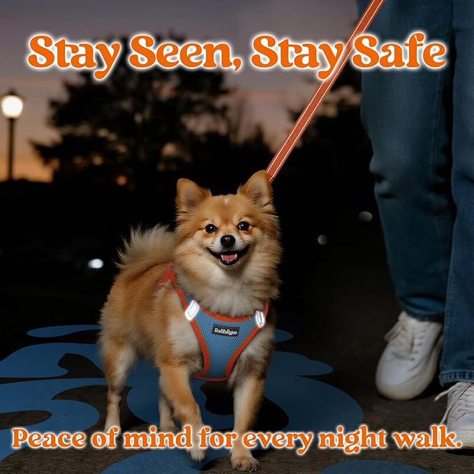 rabbitgoo Dog Harness Small Sized and Leash Set, Step-in Breathable Pet Harness, Soft Walking Reflective Puppy Vest for Small Dogs, Light Blue & Orange, L