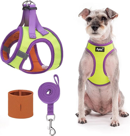 PUPTECK Adjustable Dog Harness Collar and Leash Set Step in No Pull Pet Harness for Small Medium Dogs Puppy and Cats Outdoor Walking Running, Soft Mesh Padded Reflective Vest Harnesses, GreenYellow XS
