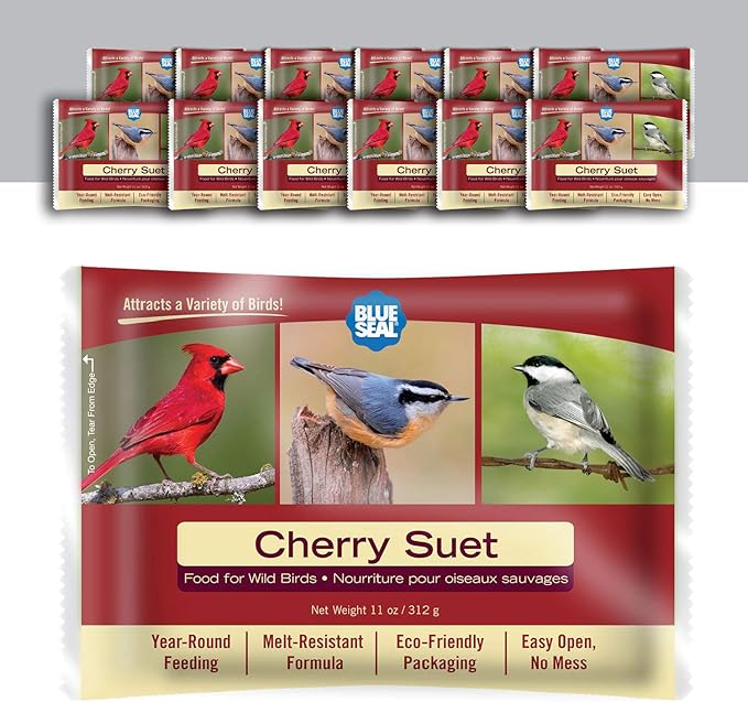 Blue Seal Cherry Suet Cakes for Wild Birds - No Mess Suet Feed, Food for Woodpeckers, Cardinals, Siskins, Sparrows & More - 11oz Suet Feeder, Bird Seed Cakes (Pack of 12)