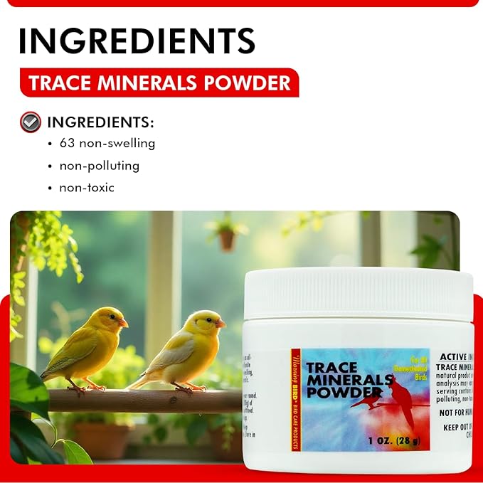 Morning Bird Trace Minerals Powder 1 Oz – Complete Mineral Supplement for Birds – Promotes Energy, Metabolism & Enzyme Activity – Easy to Mix for Daily Vitamin Support.