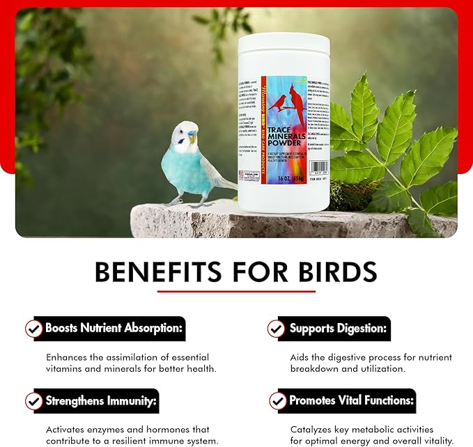 Morning Bird Trace Minerals Powder 16 Oz – Complete Mineral Supplement for Birds – Promotes Energy, Metabolism & Enzyme Activity – Easy to Mix for Daily Vitamin Support.