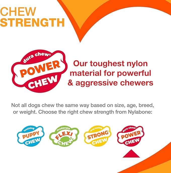 Nylabone Broccoli Power Chew Toy for Dogs, Dog Toys for Aggressive Chewers, Bacon & Cheese Flavor, Large Dogs - Up to 50 lbs, 1 Count