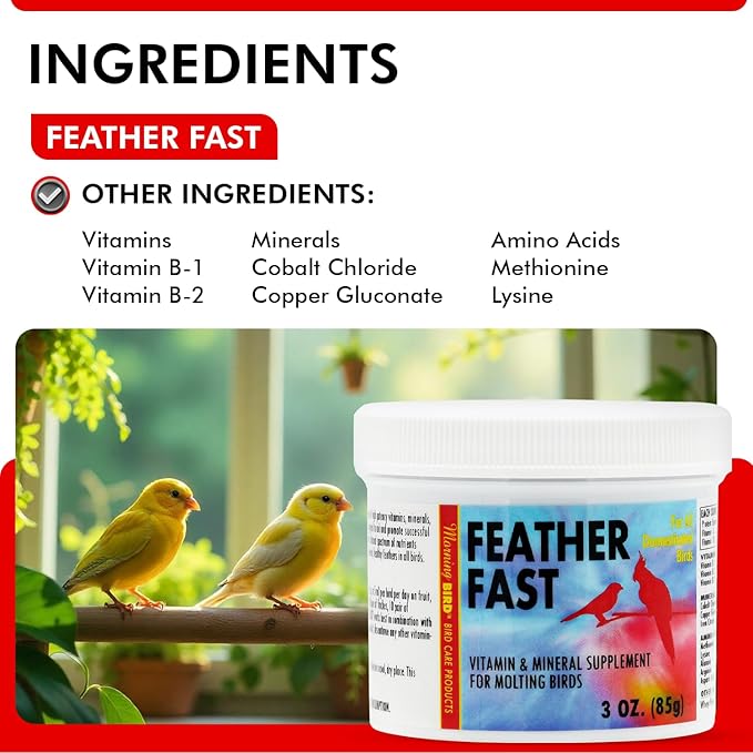 Morning Bird Feather Fast 3 Oz – Multi-Vitamin During Molt - Molting Support Supplement for Birds – Amino Acid & Vitamin Powder Formula– Promotes Feather Growth, and Full Plumage – for All Adult Birds