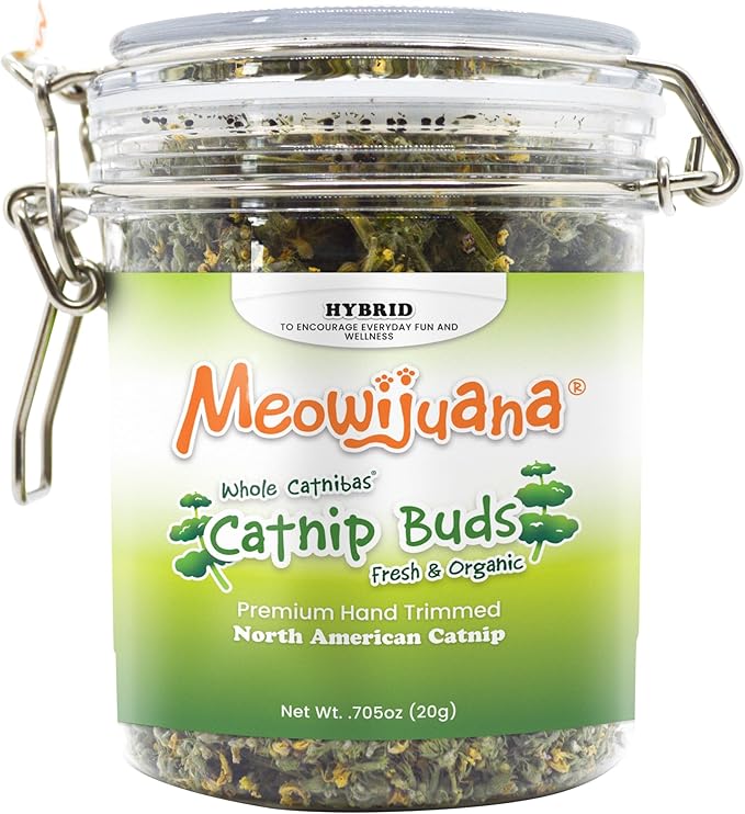 Meowijuana | Dried Catnip Buds Jar | Premium Organic Catnip | Grown in North America | Perfect for Cat Toys | Fresh Catnip for Extended Playtime | Elevate Your Cat's Enjoyment