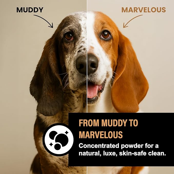 Dog Bubble Bath Shampoo Alternative – Pumpkin Spice Fall Scent, Oatmeal & Honey Natural Pet Spa Soak, Gentle Puppy Wash, Halloween Dog Gift - 12 Baths (Pumpkin Spice)