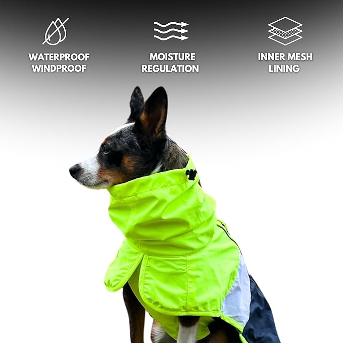Spark Paws Dog Raincoat, Waterproof Windproof Rain Jacket, for Small Medium Large Extra Large Dogs, Reflective Breathable Full-Body Coverage Dry Suit - Neon White Navy Blue, L