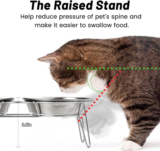 Elevated Cat Bowls, 5.9 Inch Wide Stainless Steel Cat Food Bowls with Metal Stand Whisker Stress-Free, Raised Food and Water Dish for Cats, Kitten