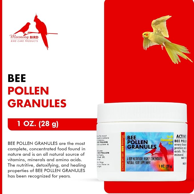 Morning Bird Bee Pollen Granules 1 Oz – Naturally Immune Support & Protein Powder for Birds – Boosts Strength, Feather Health & Energy Supplements – Easy to Mix with Food for All Bird Types