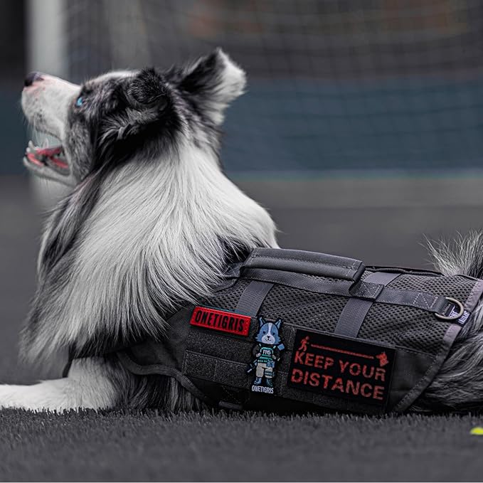 OneTigris Tactical No Pull Dog Harness for Large Dog, Mesh Design Dog Vest Harness Breathable Military Dogs Molle Vests with Handles, Service Dogs Vest Harness for Walking Hiking Training