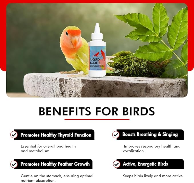 Morning Bird Liquid Iodine for Birds 4 fl. oz – Iodine Drops for Feather Growth, Support Molting, Energy & Thyroid – Easy-to-Use Mineral Supplement Formula for All Bird Types