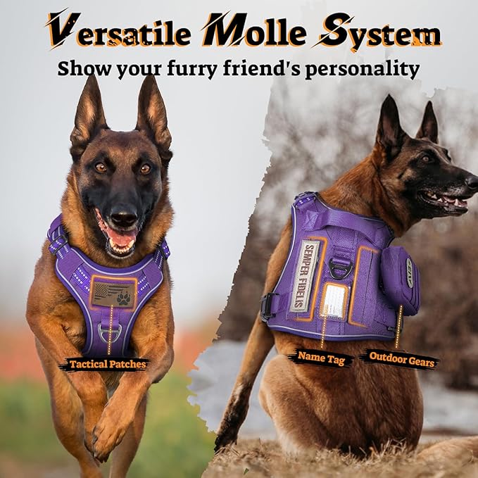 rabbitgoo Dog Harness Small Sized No Pull, Tactical Service Pet Vest with Molle and Control Handle, Adjustable and Reflective Military Harness for Easy Walking and Training, Purple, S