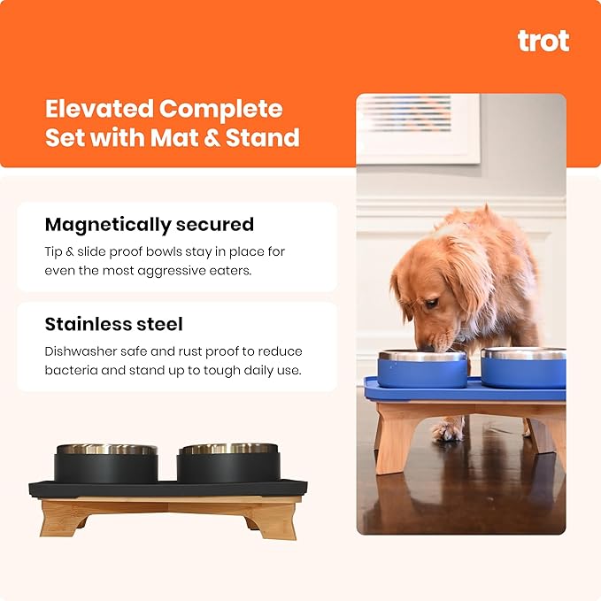 Trot Pets Elevated Dog Bowls | Stainless Steel Raised Bowl Set for Small, Medium, or Large Dogs | Non-Slip Food and Water Slow Feeder | Durable, BPA-Free, Anti-Skid, Dishwasher Safe (Charcoal, Small)